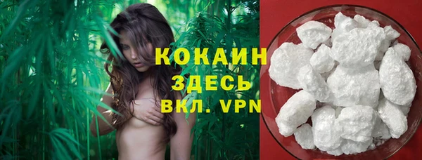 трава Армянск