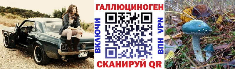 сколько стоит  Кемерово  Галлюциногенные грибы MAGIC MUSHROOMS 